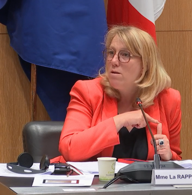 Danielle Simonnet, à l'Assemblée nationale. LCP
